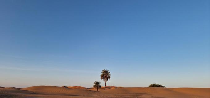 Kasbah Hotel Panorama Merzouga Εξωτερικό φωτογραφία